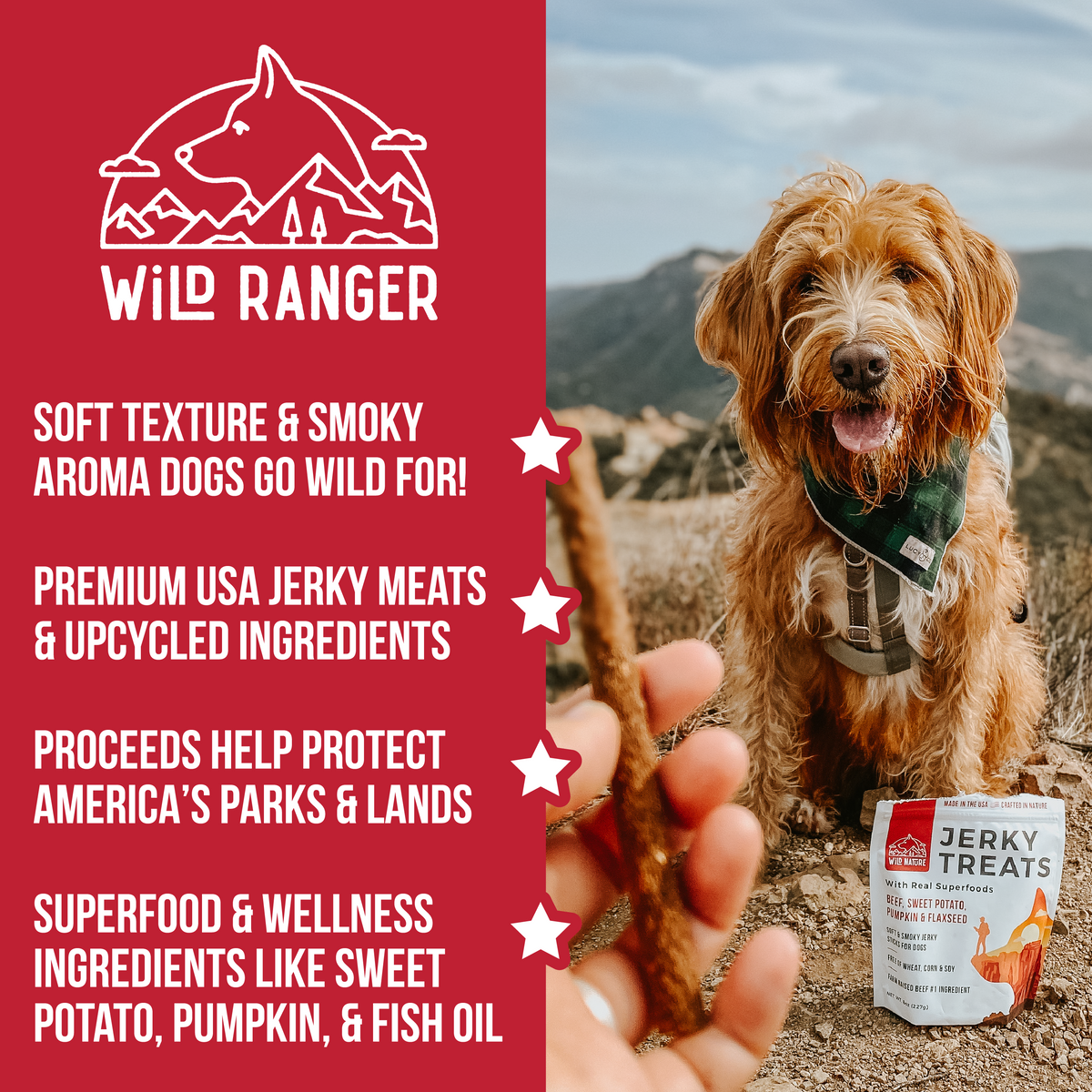 WILD RANGER BEEF &amp; SUPERFOODS JERKY DOG TREATS 8OZ