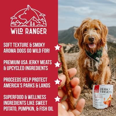 Wild Ranger Beef & Superfoods Jerky Dog Treats (8oz)