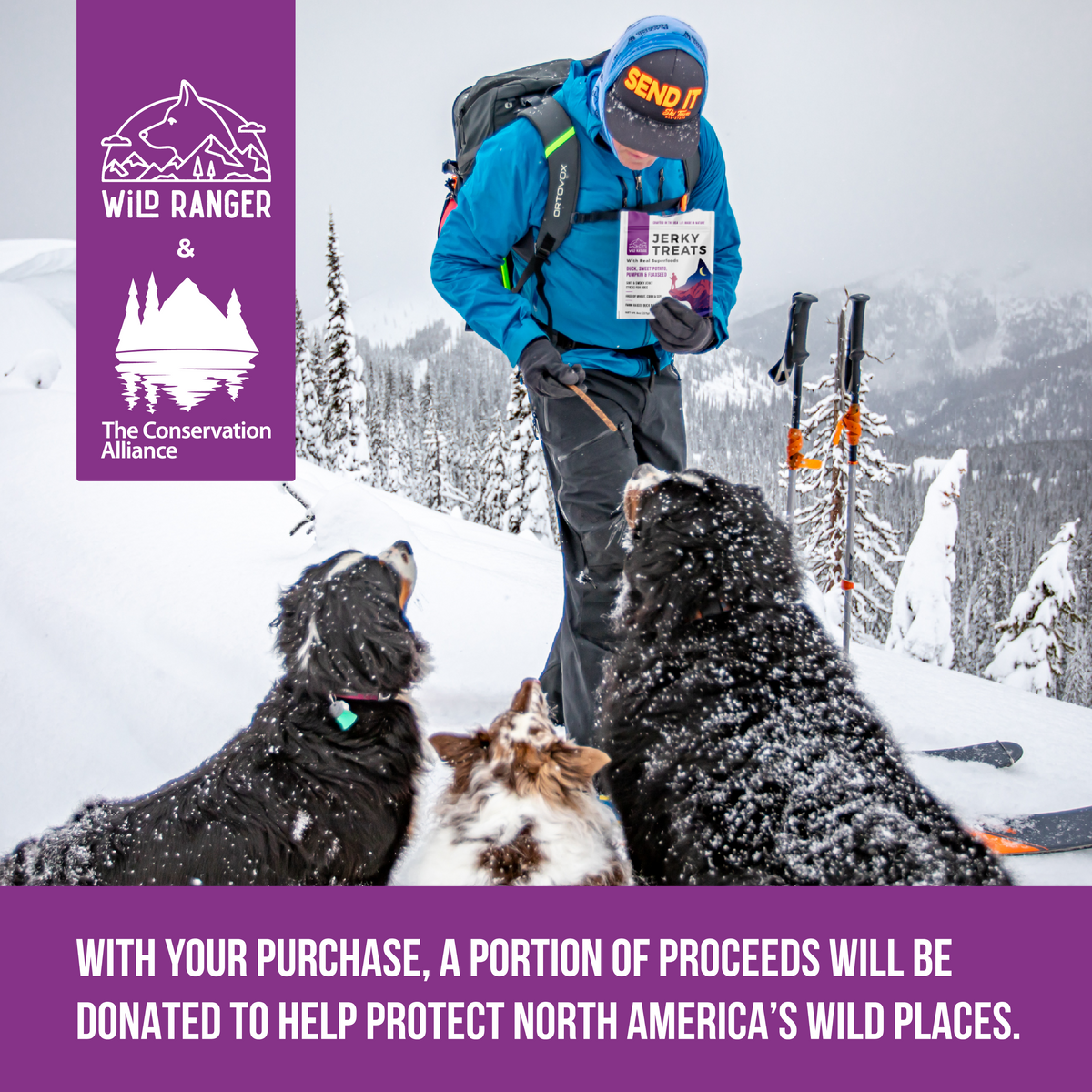 WILD RANGER DUCK &amp; SUPERFOODS JERKY DOG TREATS 8OZ