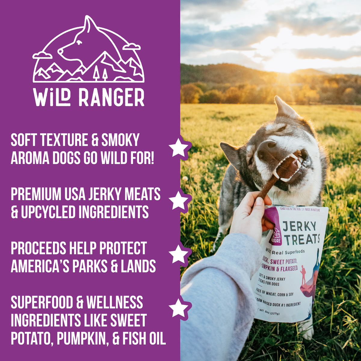 WILD RANGER DUCK &amp; SUPERFOODS JERKY DOG TREATS 8OZ